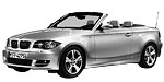 BMW E88 P110B Fault Code