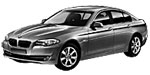 BMW F10 P110B Fault Code
